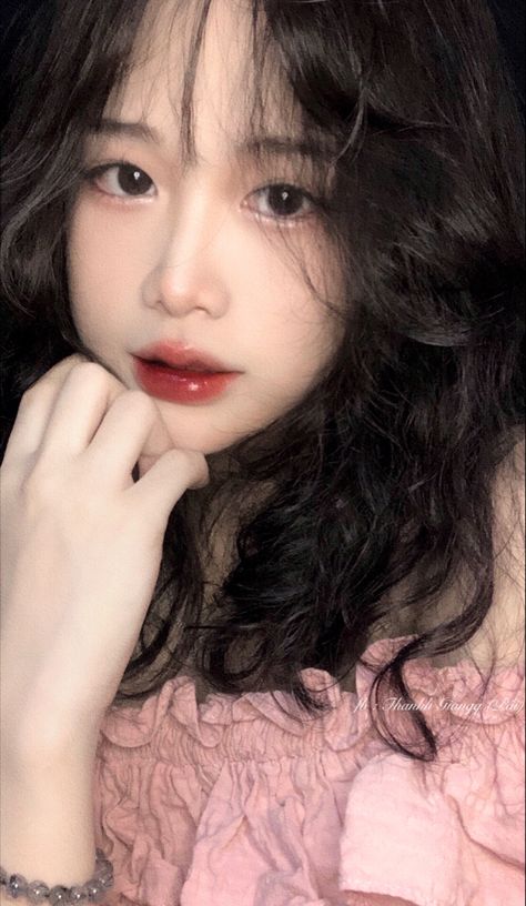 锦囊妙录电视剧在线观看全集免费